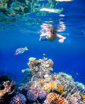 Underwater shoot of a young boy snorkeling and diving in a tropical red sea coral reef with Klunzinger's Wrasse (Thalassoma rueppellii)Also known as Lunate-tailed Wrasses and other fish in Egypt