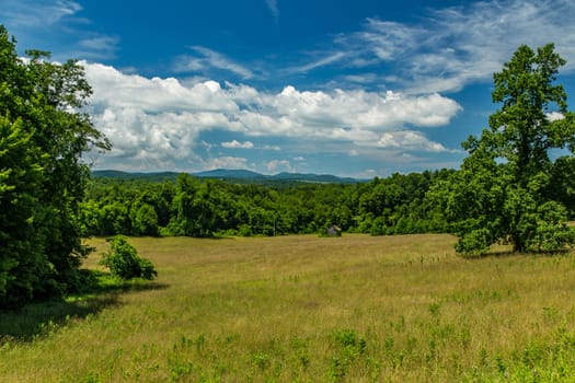 A view of a meadow in the foothills of the Blue Ridge Mountains in Franklin County, Virginia