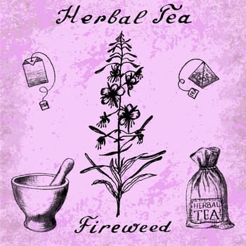 Willow herb, Chamerion, fireweed, rosebay hand drawn sketch botanical illustration. Vector drawing. Herbal tea elements - tea bag, bag, mortar and pestle. Lettering. Grunge background