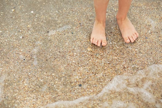 Feet child on a sandy beach with seashells. Legs of children stand on the beach