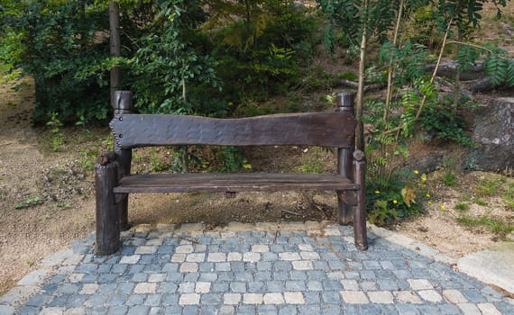 bench in the woods beside the road in the foreground paved road behind trees