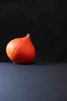 One ripe pumpkin on dark background with free space