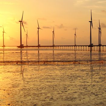 Group of wind turbines of Bac Lieu wind power plant at Mekong Delta, Vietnam. Windmill at Baclieu seaside at sunrise, make clean energy for Viet nam industry