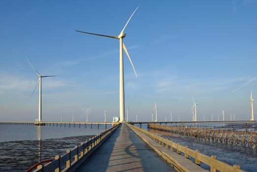 Group of wind turbines of Bac Lieu wind power plant at Mekong Delta, Vietnam. Windmill at Baclieu seaside at morning, make clean energy for Viet nam industry