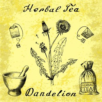 Dandelion hand drawn sketch botanical illustration. Vector drawing. Herbal tea elements - tea bag, bag, mortar and pestle. Medical herbs. Lettering in English languages. Grunge background