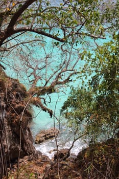 View through trees to tropical blue sea, Thailand