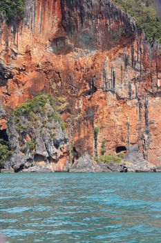 Part of rock in Andaman sea closeup, Krabi, Thailand