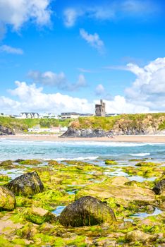 seaweed covered rocks with castle and cliffs on ballybunion beach in county kerry ireland