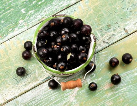 Fresh Berries of Blackcurrant in White Garden Bucket closeup on Cracked Wooden background. Top View