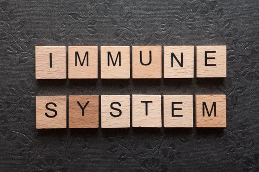 The word immune system formed with wooden letters on dark background