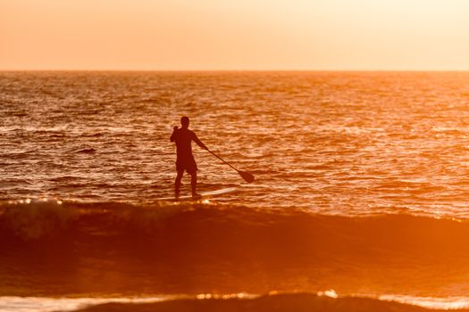 Stand up paddler silhouette at sunset. Concept about sport, surf, vacations and people.