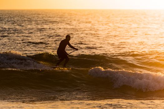 Stand up paddler silhouette at sunset. Concept about sport, surf, vacations and people.