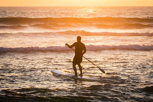 Stand up paddler silhouette at sunset. Concept about sport, surf, vacations and people.