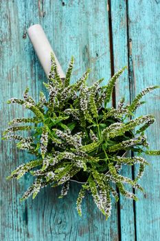 Tub with flowering medicinal mint on wooden background and pitcher of water