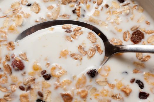 Cereals in a milk. Breakfast concept
