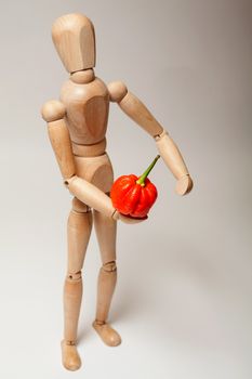 Dummy holding a red chili pepper on white background