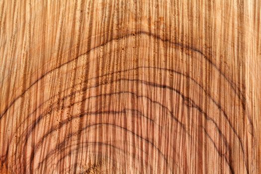 Olive wood brown texture background
