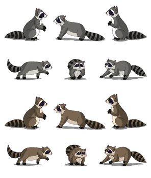 Set of Raccoon images. Digital painting  full color cartoon style illustration isolated on white background.