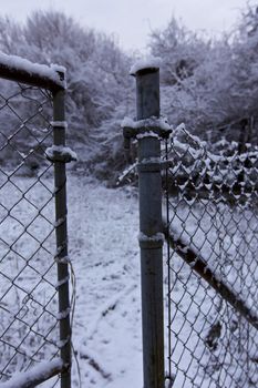 Open gate, Winter scene in Connecticut, USA