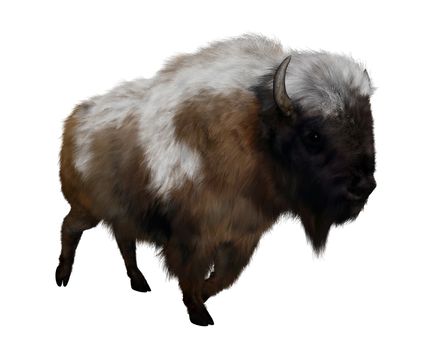 American bison with snow isolated in white background - 3D render