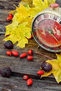 Old retro alarm clock,maple autumn leaf and rose hips on wooden background