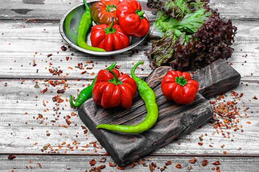 red pepper and paprika on iron plate with bright light background with spices