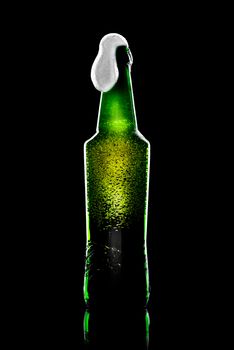 beer bottle opened with resultant beer and foam on black background with reflection