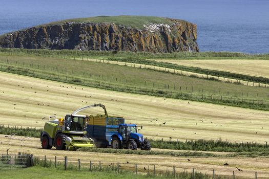 Agriculture - Farm workers collecting silage in the fields near the village of Ballycastle in County Antrim in Northern Ireland. Silage is grass fodder that is compacted and stored in airtight conditions, typically in a silo, without first being dried, to be used as animal feed in the winter.