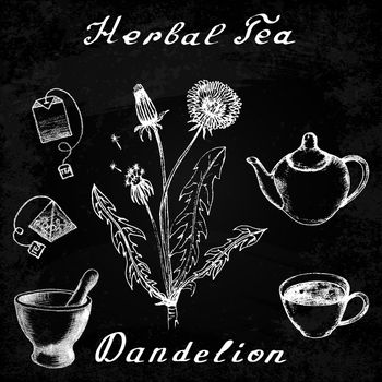 Dandelion hand drawn sketch botanical illustration. Vector drawing. Herbal tea elements - cup, teapot, kettle, tea bag, bag, mortar and pestle. Medical herbs. Lettering in English. Effect chalk board