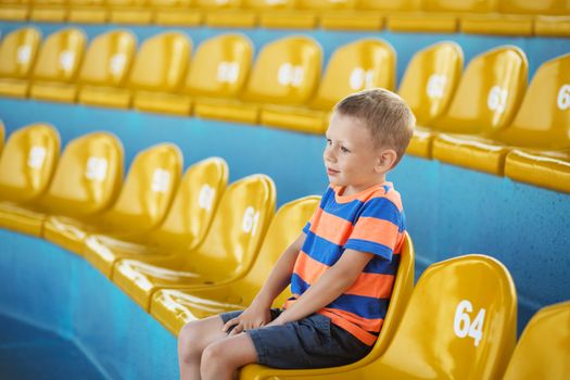 Little boy sitting in an empty stadium among yellow plastic numbered seats and applauds. Child take own seat in the stadium or dolphinarium and waiting patiently when the show or game starts.