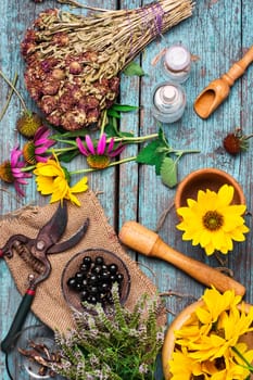 Range of medicinal grasses and useful plants from diseases