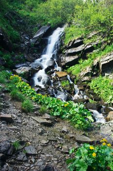 Mount river in summer. Karpathien mount.