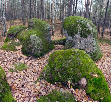 The tract stone village, Zhytomyr region village of Rudnya- Zamyslovichskaya