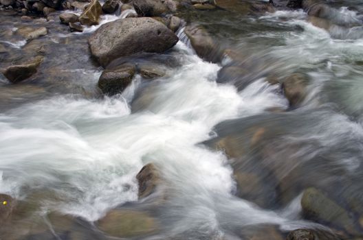 Mount river in summer. Karpathien mount.