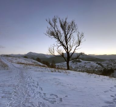 Sunrise in winter mountains . Sunrise in Carpathian Mountains, Ukraine