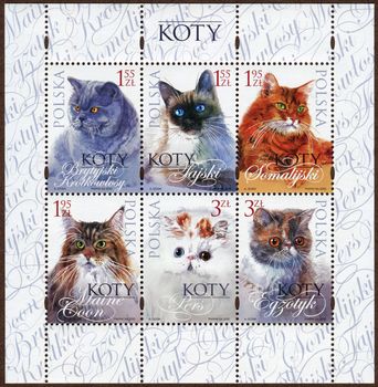Stamps depicting various breeds kittens