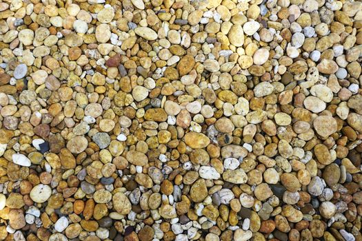 pebble texturee background decorative garden