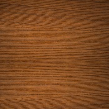 Texture of wood background closeup