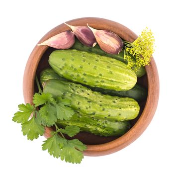 Preparation of cucumbers and greenery is to canning