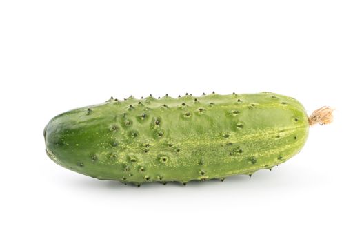 Cucumber isolated on white background