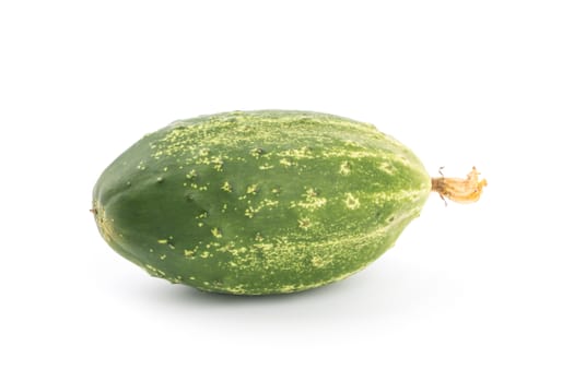 Cucumber isolated on white background