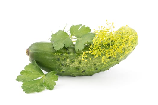 Cucumber isolated on white background