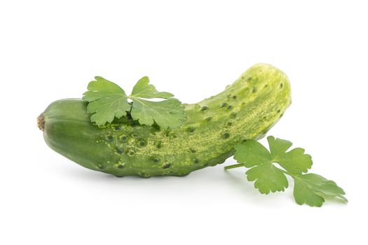 Cucumber isolated on white background