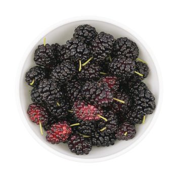 fresh organic mulberry in bowl on white background