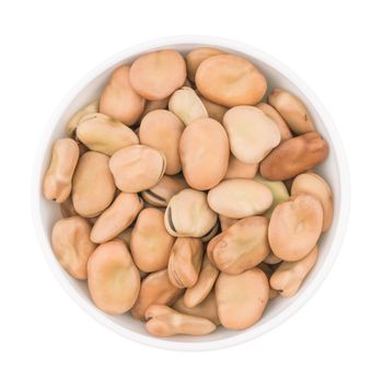 bowl of broad bean