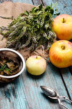 Plucked fresh bunch of fragrant mint,tea brew and apples