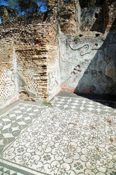 Ancient ruins of Villa Adriana ( The Hadrian's Villa ), Hospitalia, Tivoli, Italy