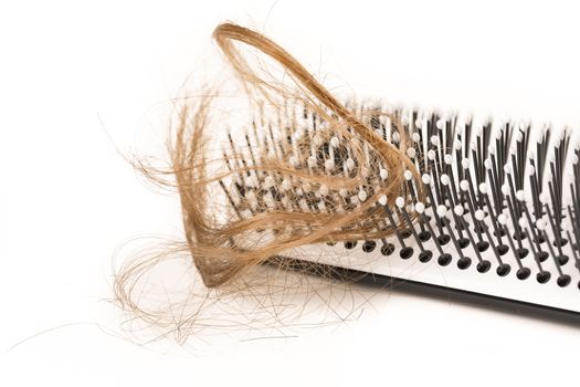 Close-up of hair loss, long hair, alopecia on white background with brush, comb nobody