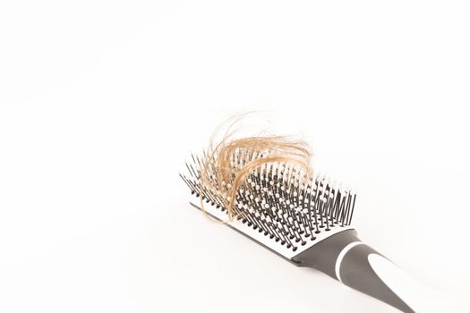 Close-up of hair loss, long hair, alopecia on white background with brush, comb nobody