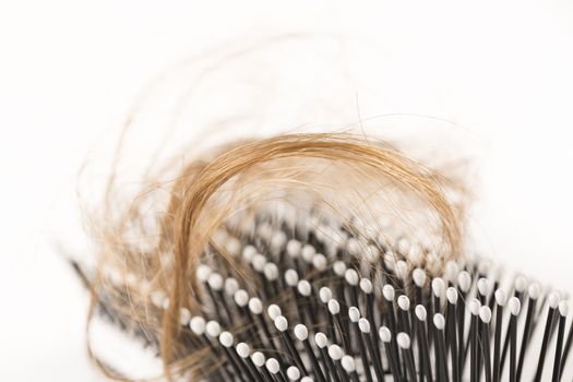 Close-up of hair loss, long hair, alopecia on white background with brush, comb nobody